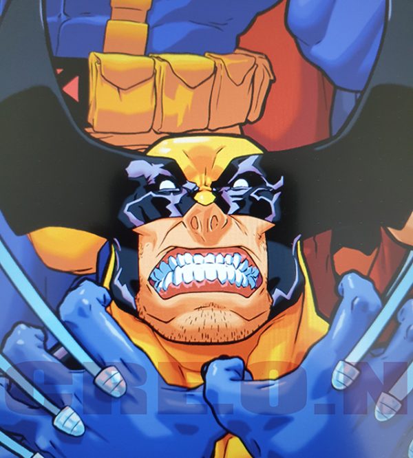 XVSSF - Tribute Illustration - Collector print